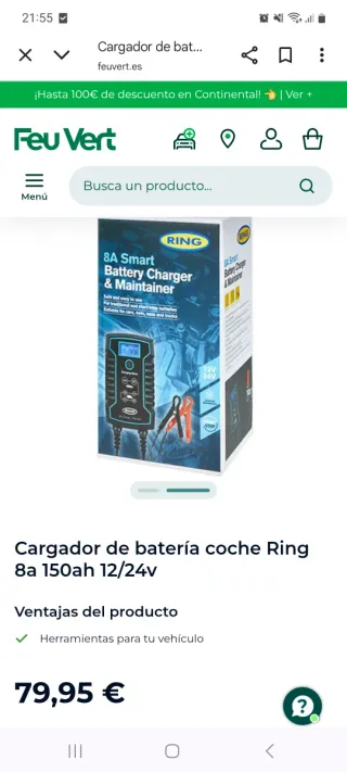 Cargador Batería Coche Ring 8A 12V/24V