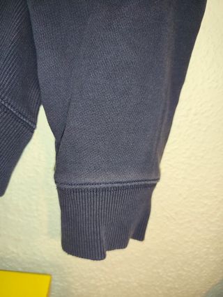 Sudadera Lacoste Azul