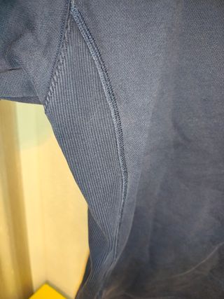 Sudadera Lacoste Azul