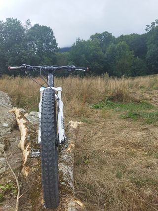 Bicicleta Massi Carbon Elite