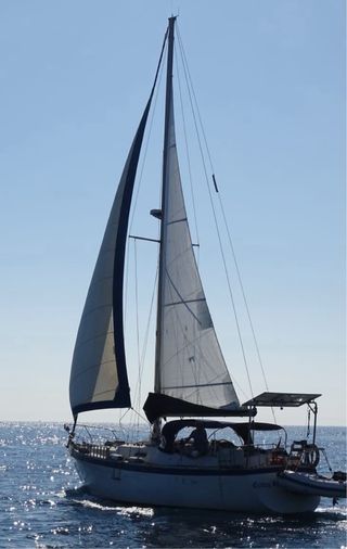 Velero de crucero Muddy 39