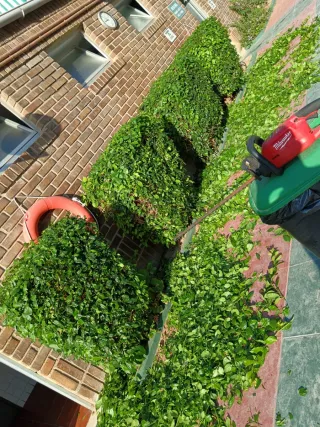 Jardinero Profesional