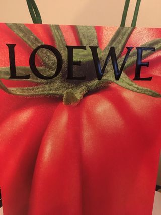 Bolsas Loewe nuevas + Libro 7