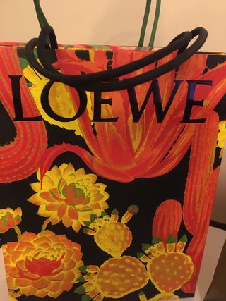 Bolsas Loewe nuevas + Libro 7