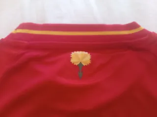 Equipación Oficial España Niño Talla 10