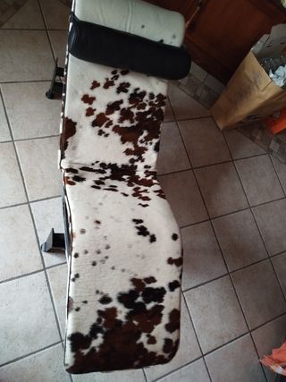 LC4 Le Corbusier Chaise Longue Cavallino