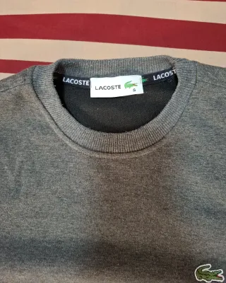 Jersey Lacoste Gris