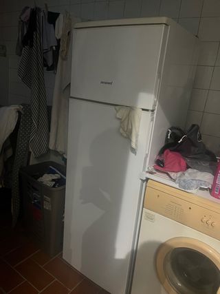 Nevera blanca 160 cm