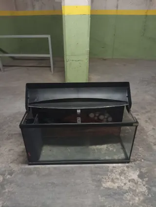 Acuario/Terrario Negro y Transparente