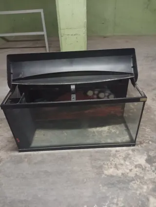 Acuario/Terrario Negro y Transparente