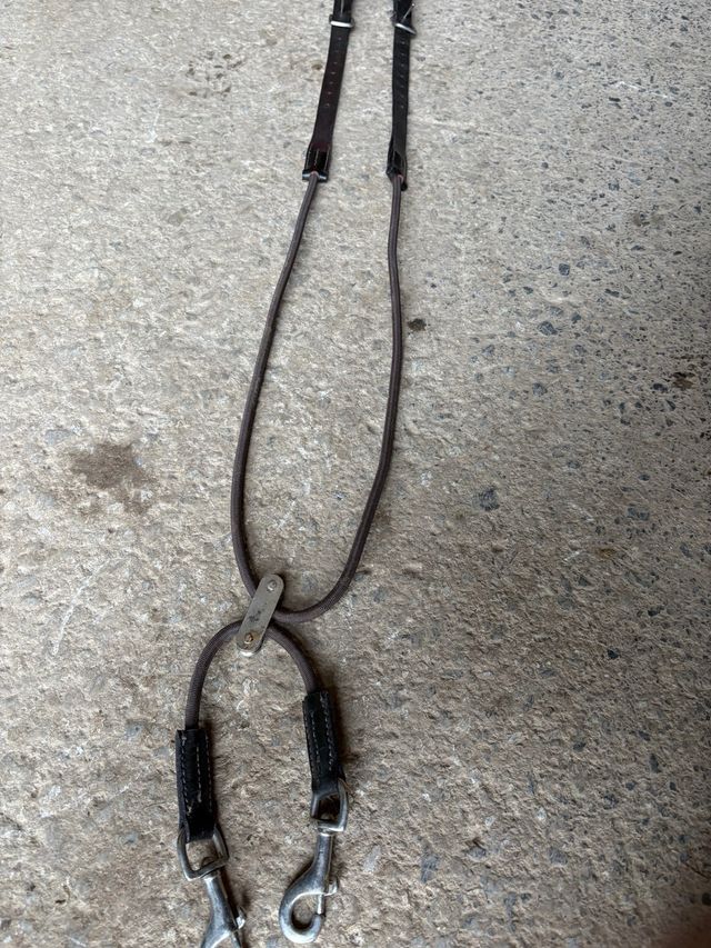 Sistema entrenamiento cuerda caballos