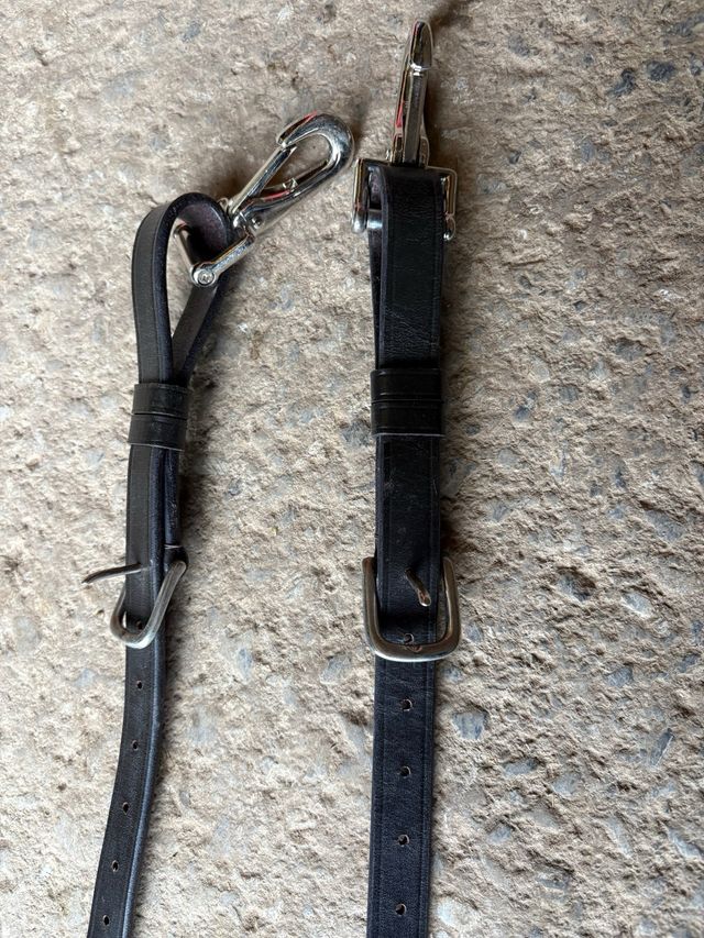 Sistema entrenamiento cuerda caballos