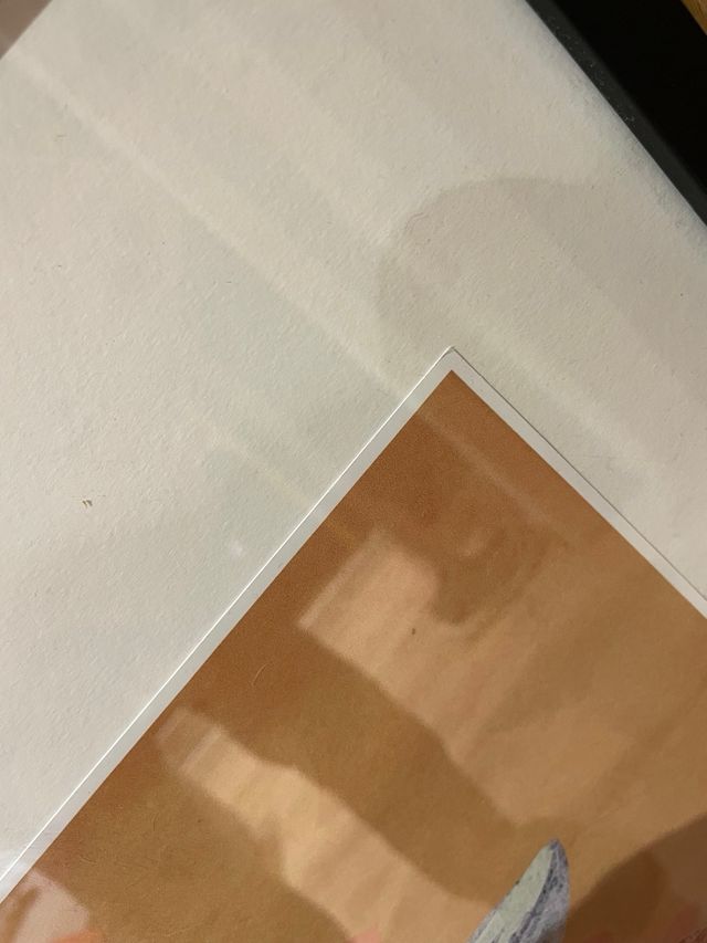 Lámina Decorativa Frida