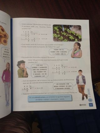  Matemàtiques llibre coneixements 4T Edu primària 