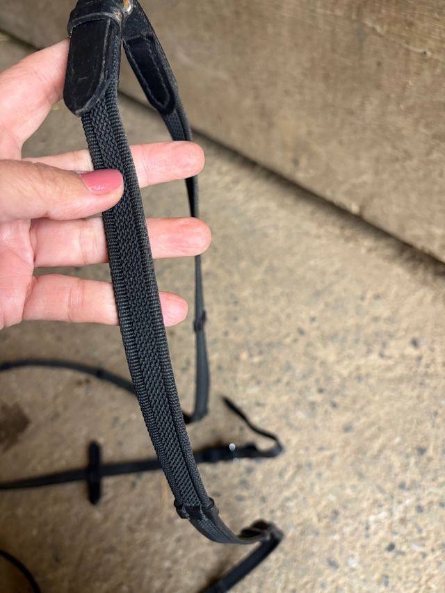 Riendas de cuero para caballo