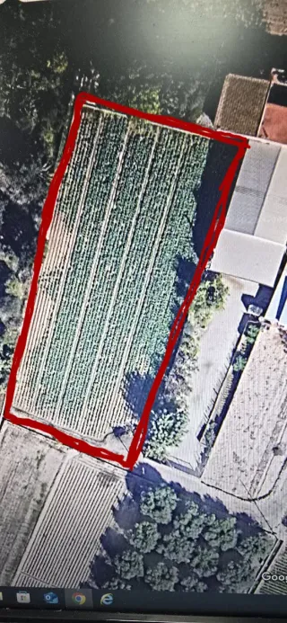 Campo en Castellar de Valencia