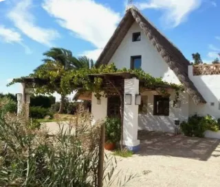 Campo en Castellar de Valencia
