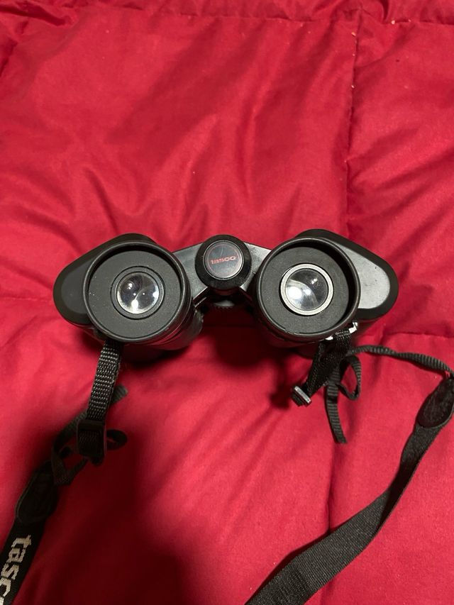 Prismáticos Tasco 10x50