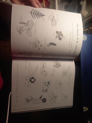 Mi cuaderno Montessori +5