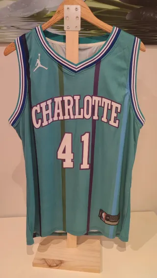 Camiseta baloncesto Charlotte Hornets 
