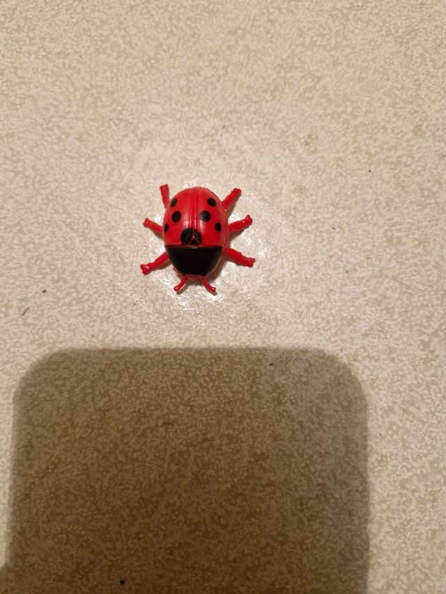 Conjunto de insectos de juguete