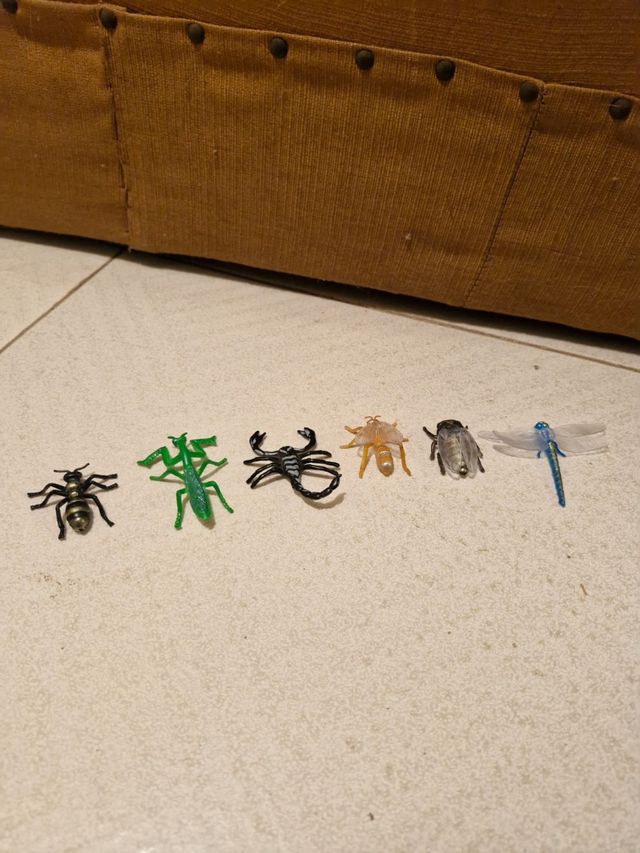 Conjunto de insectos de juguete