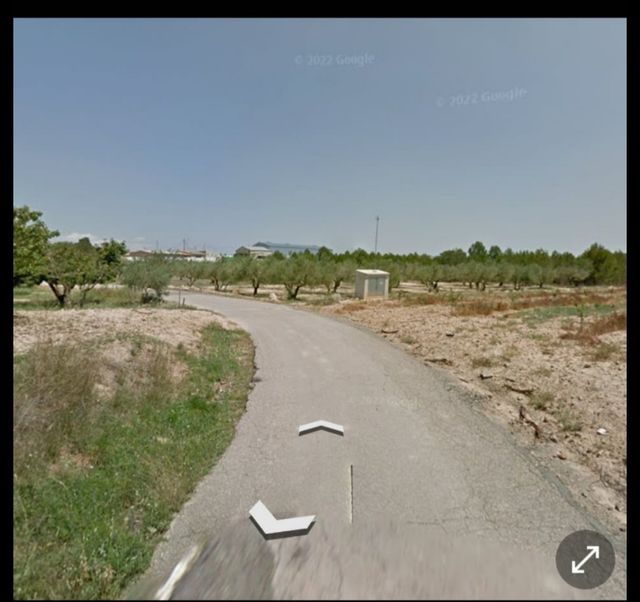 Parcelas terreno olivos en viver