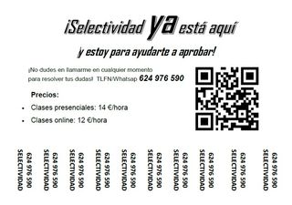 profesor particular de matemáticas, selectividad