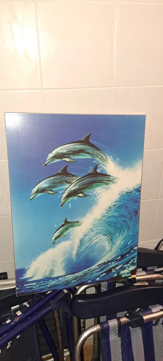 Lienzo de tela con delfines