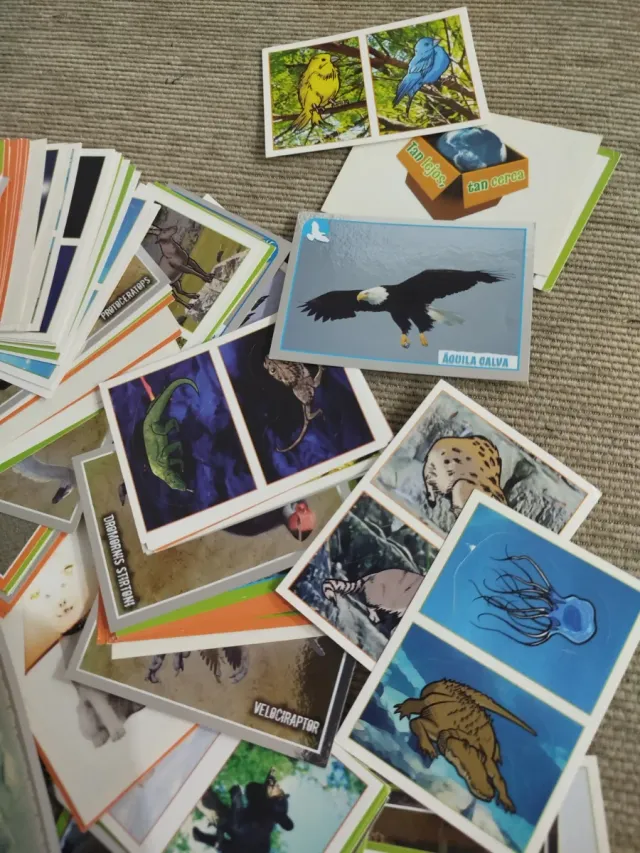 Colección de Cartas y Cromos