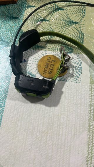 Garmin Alpha 100 y tt15 mini 