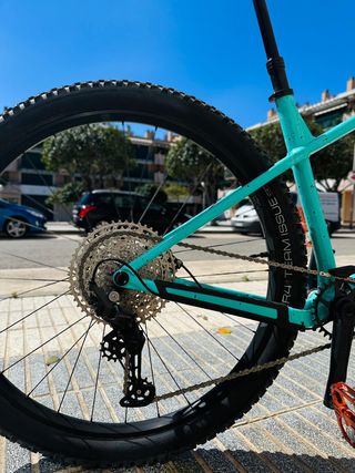 Bicicleta Trek Roscoe 7 2024 Talla L