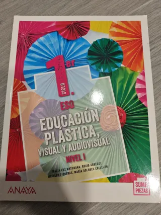 Educación Plástica, Visual y Audiovisual. Nivel...