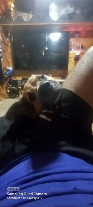 Ollas y objetos de bronce decorativos