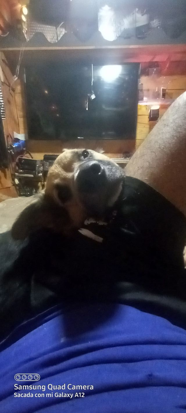 Ollas y objetos de bronce decorativos