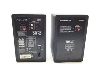 monitor estudio pioneer dm-40