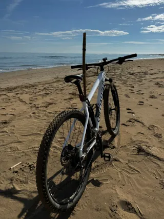 Bicicleta de Montaña Specialized Blanca