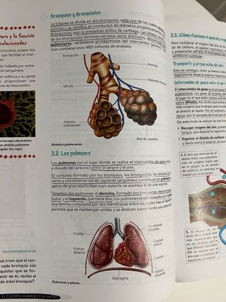 libro de texto biología y geología 3 ESO