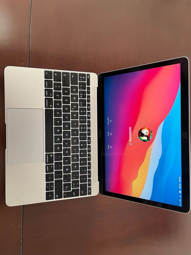 ordenador macOS Big Sur versión 11.7.10