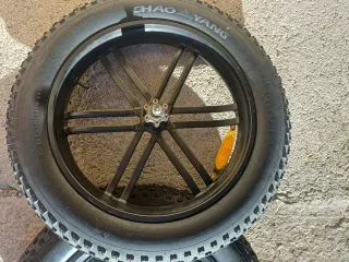 Ruote Bici Elettrica