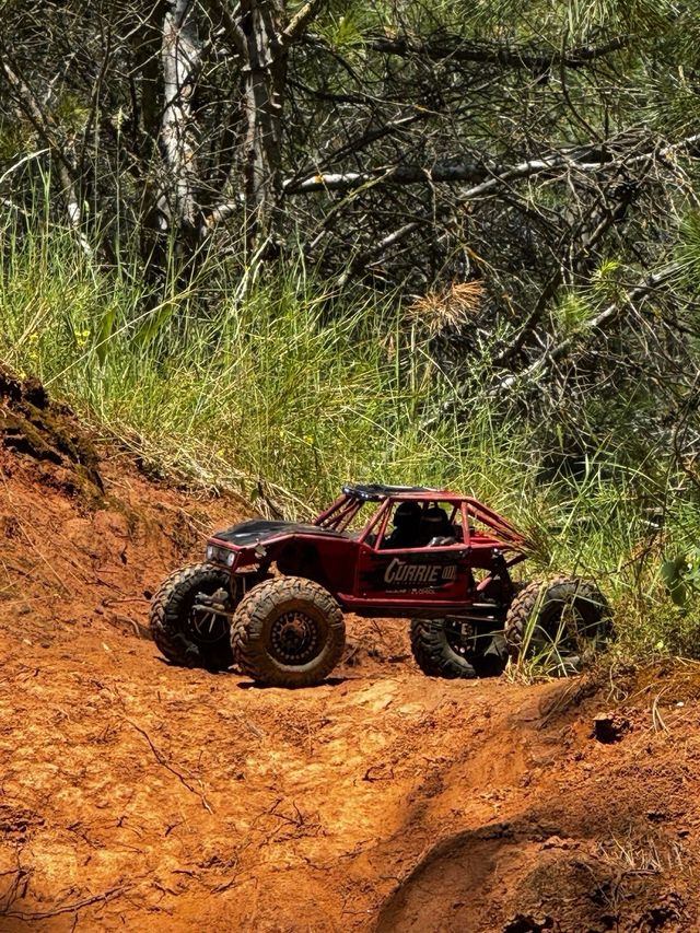 AXIAL CAPRA 1.9 4ws unlimited Coche RC Crawler