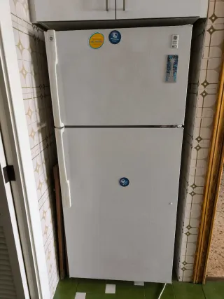 Nevera combi General Electric