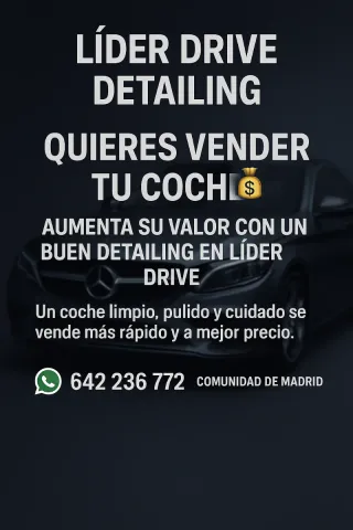 Limpieza Integral – Líder Drive Detailing