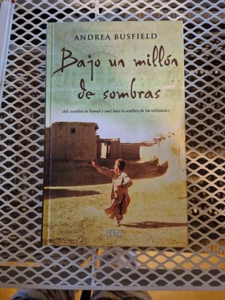 Palmeras en la nieve,Aisha y Alí,