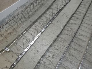 Dissuasori per piccioni in acciaio inox