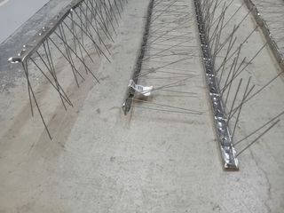 Dissuasori per piccioni in acciaio inox