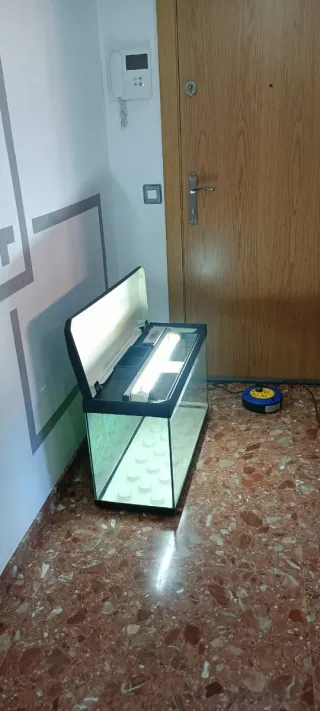 Acuario 80L con luz