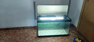 Acuario 80L con luz