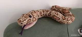 Peluche Pitone Boa IKEA