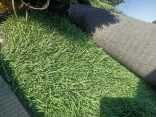 Césped artificial